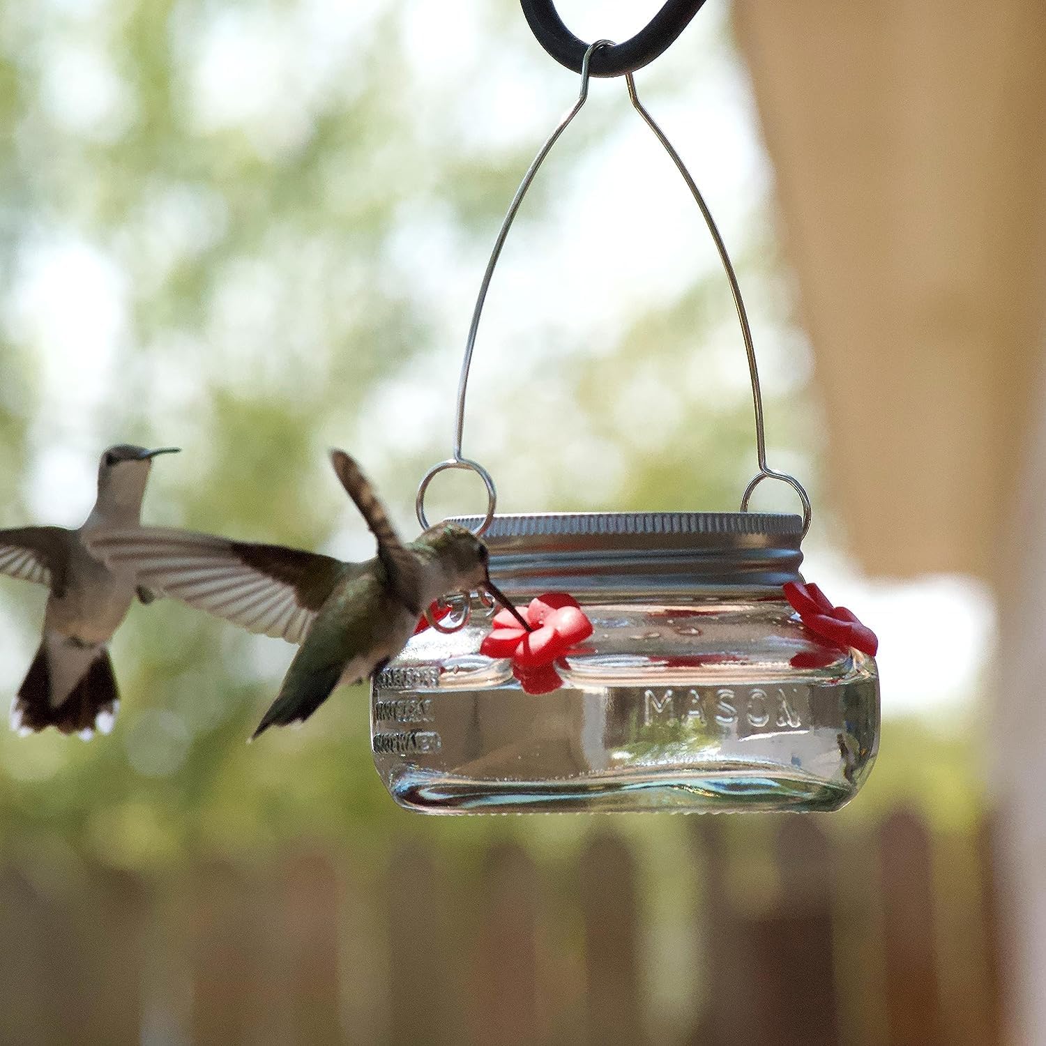 Mason Jar Hummingbird Dish Feeder, Birds Product, Birds Feed Dish - 4 Mason Jar Hummingbird Dish Feeder, Birds Product, Birds Feed Dish - 4